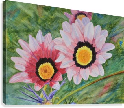 Two Daisies Canvas Print