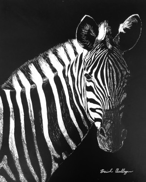 Zebra Portrait