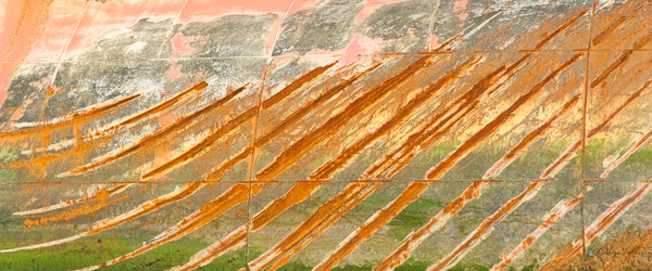 ALBERT MAERSK | Endurance Print