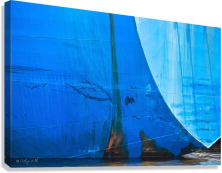 PACIFIC SPIKE | Dramtree Canvas Print