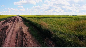 The Road to You