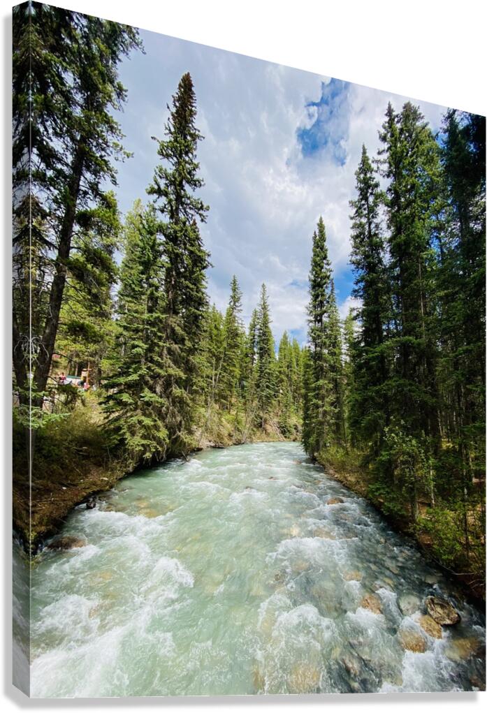 Moving Fast Canvas Print