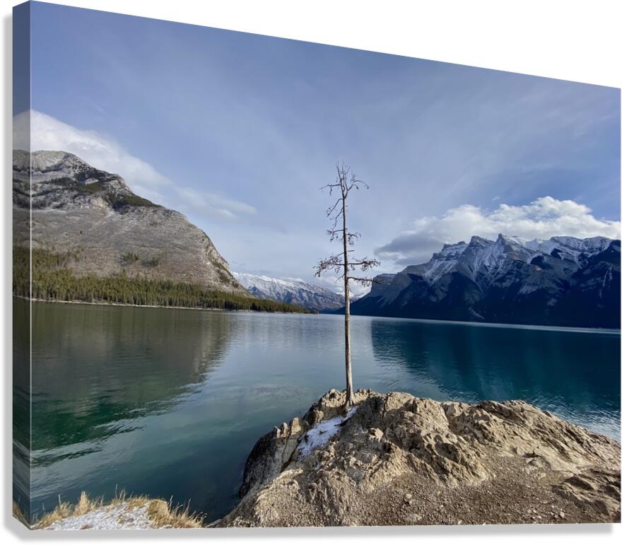 Stand Alone Canvas Print
