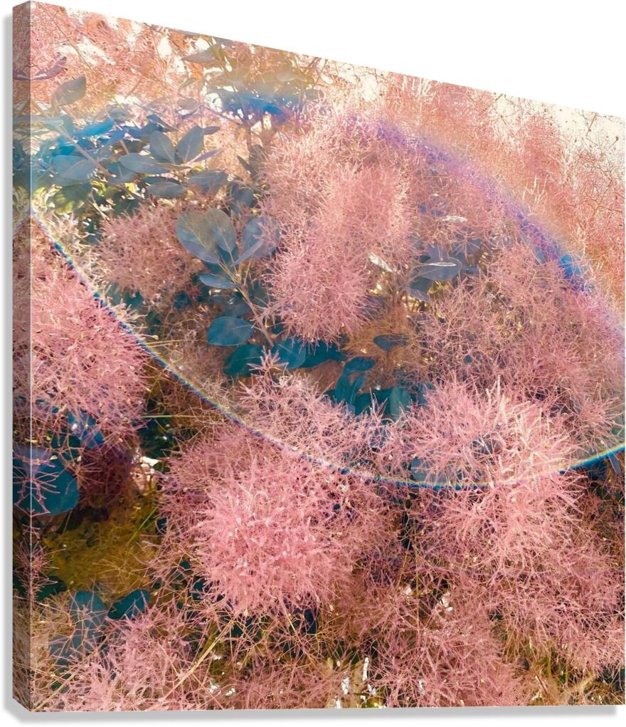 Garden Flare Canvas Print