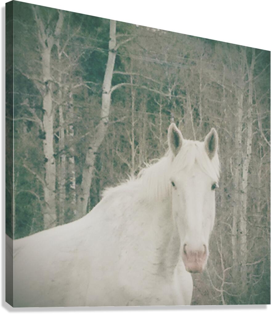 Lovely  Canvas Print