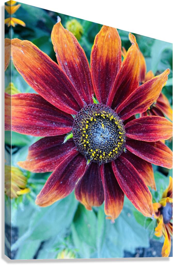 Flower Power Canvas Print