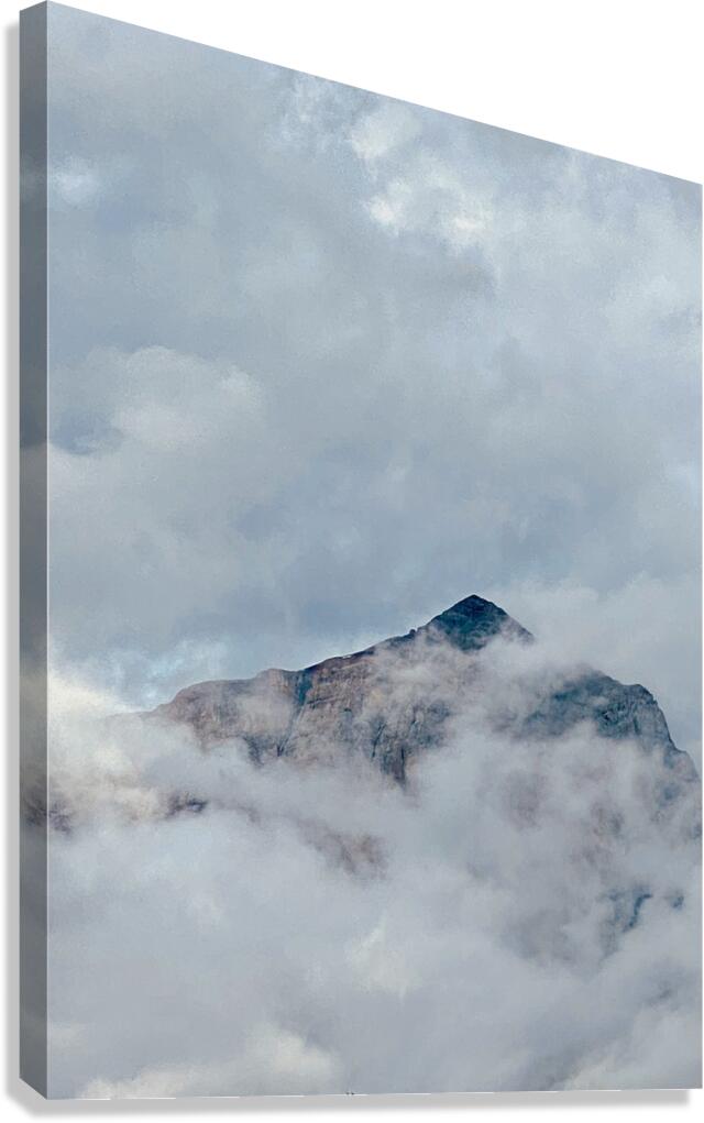 strength above Canvas Print