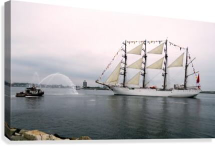 Union  Canvas Print