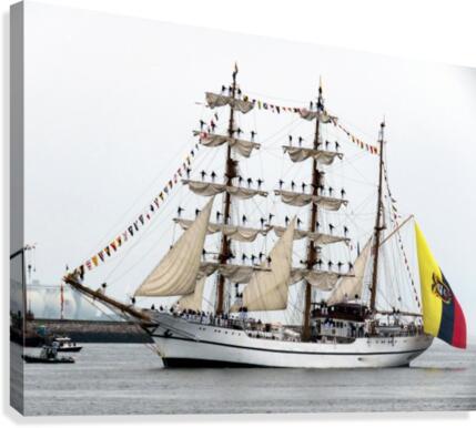 Guayas  Canvas Print