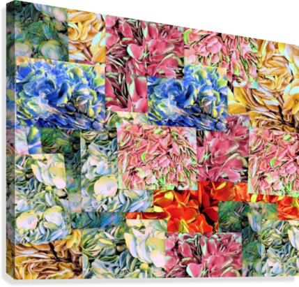 Hydrangea Petals  Canvas Print