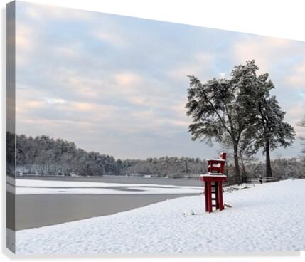 Winter pond Canvas Print