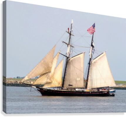 Shenandoah Canvas Print