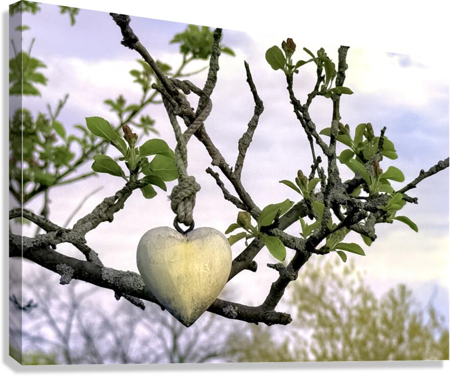 LOVE Canvas Print