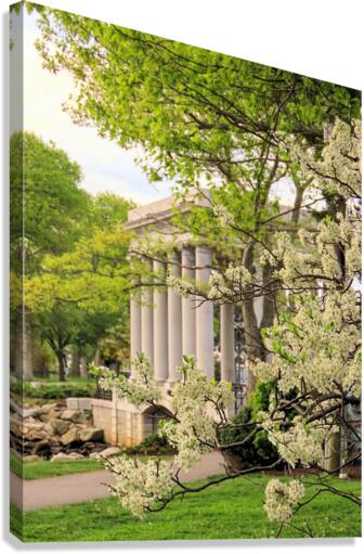Springtime  Canvas Print
