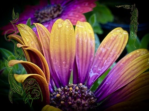 Neon Garden