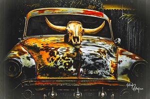 Lincoln Longhorn