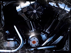 Harleyhorse