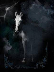 Midnight Mare