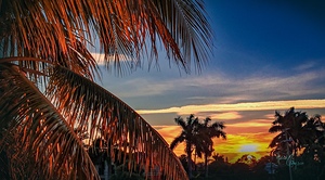 Orange Evening
