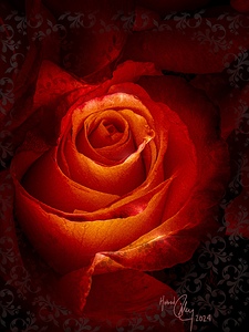 Phantom Red