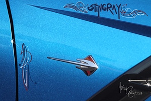 Stingray
