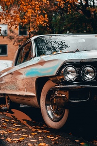 Lowrider Autumn