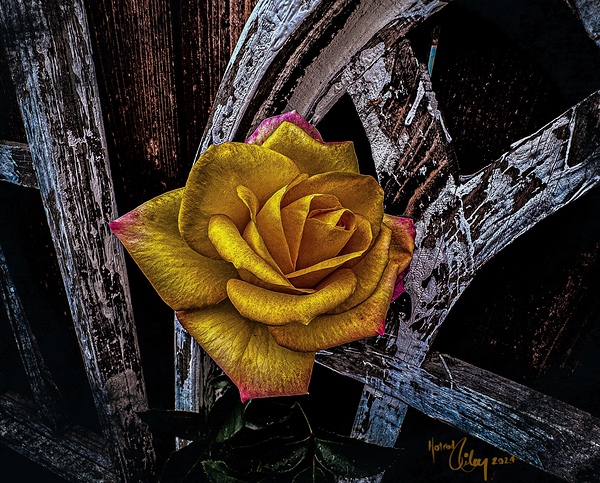 Distress by HotrodRiley