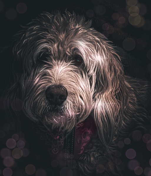 Popcorn by HotrodRiley
