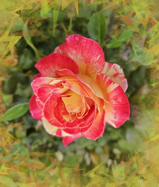 Orange Candycane by HotrodRiley
