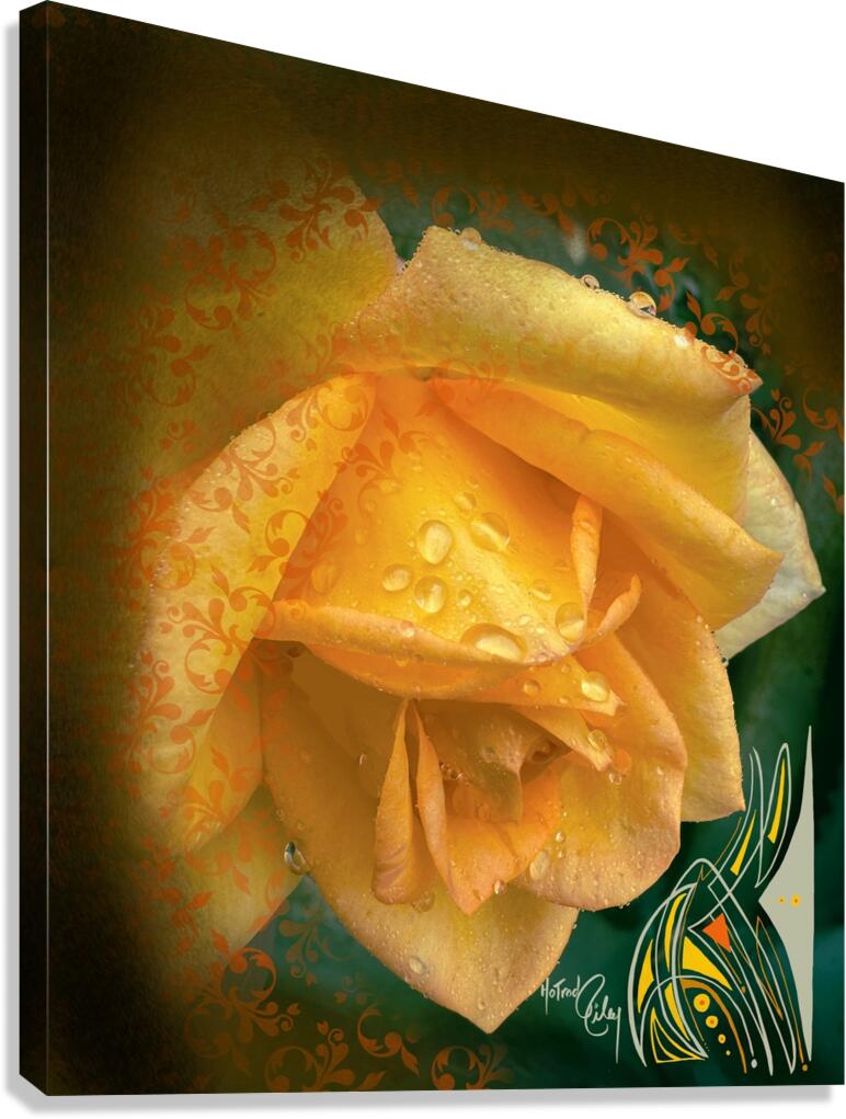 Yellowow Canvas Print