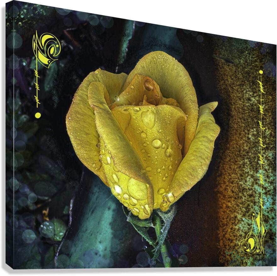 Rusty Rain Canvas Print