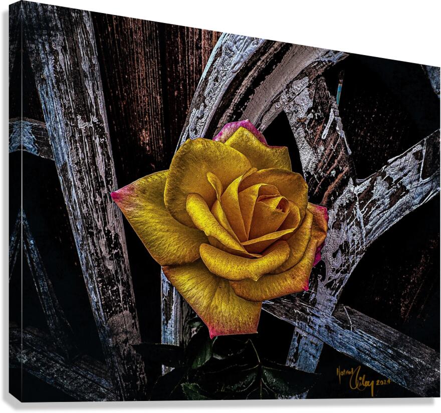 Distress Canvas Print