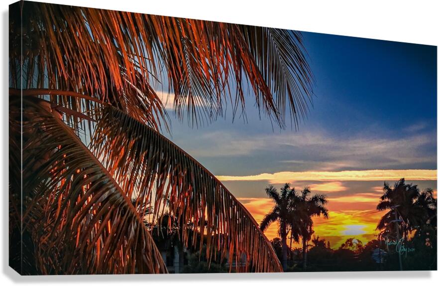 Orange Evening Canvas Print