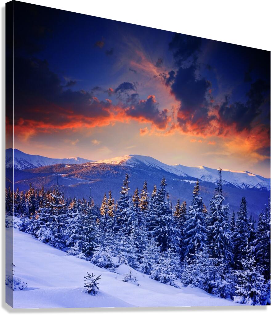 Forest Blues Canvas Print
