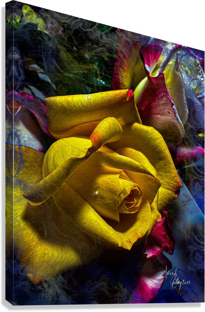 Yellow Shade Canvas Print