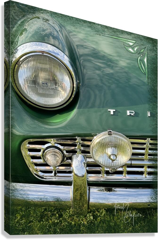 Triumphant Canvas Print