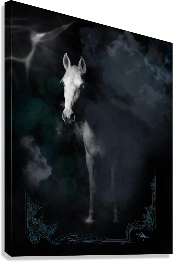 Midnight Mare Canvas Print
