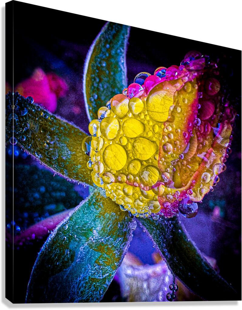 Blue Glow Canvas Print