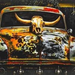 Lincoln Longhorn