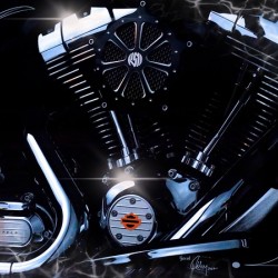 Harleyhorse