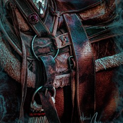 Saddle Up