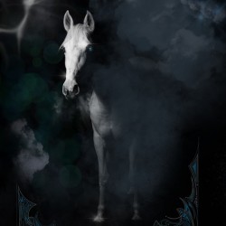 Midnight Mare