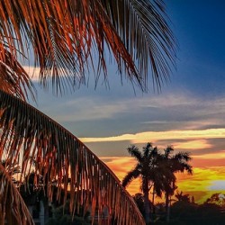 Orange Evening