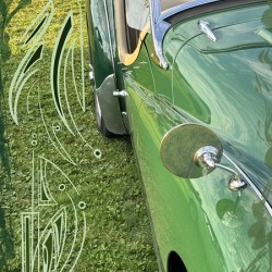 Go Green