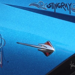 Stingray