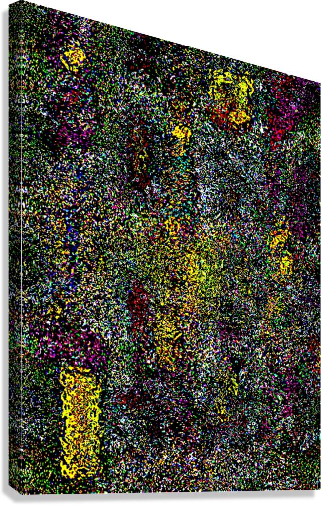 Meteorized  Canvas Print