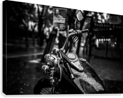 b w Canvas Print