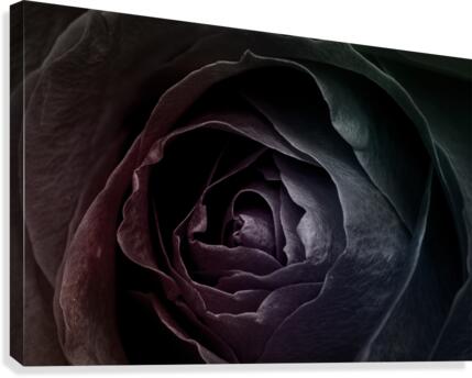 negative effect floral patterned background Canvas Print