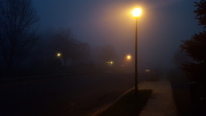 Street in Fog