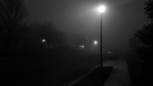 Street in Fog B&W